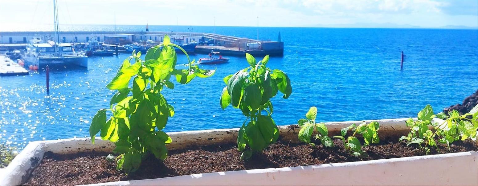 Buena Pesca 7 Puerto del Carmen (Lanzarote) Exterior foto